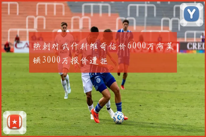 热刺对武什科维奇估价6000万布莱顿3000万报价遭拒
