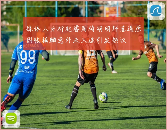 媒体人分析赵睿周琦胡明轩落选原因张镇麟意外未入选引发热议