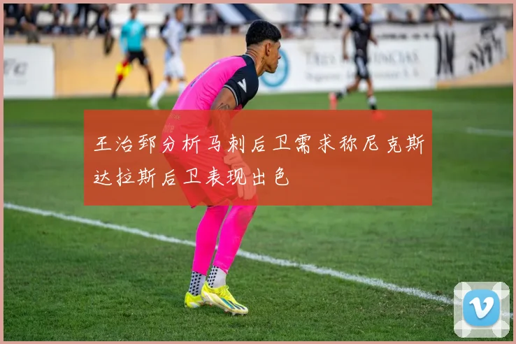 王治郅分析马刺后卫需求称尼克斯达拉斯后卫表现出色